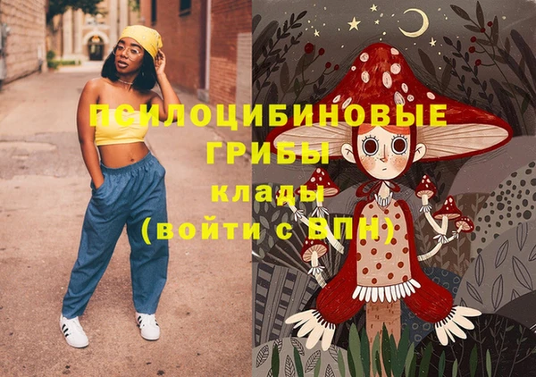 спиды Алексеевка