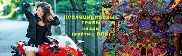спиды Алексеевка