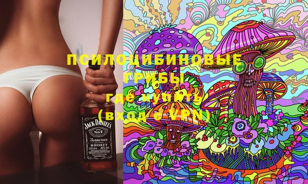 спиды Алексеевка