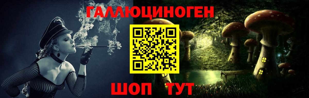 Сокол  Галлюциногенные грибы Psilocybe  Вход с VPN  Псилоцибиновые грибы GOLDEN TEACHER 