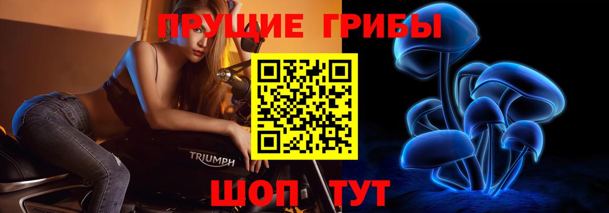 Галлюциногенные грибы GOLDEN TEACHER Сокол